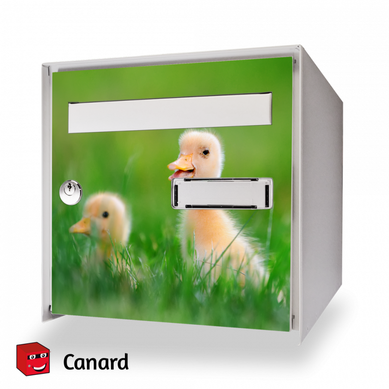 Sticker boîte aux lettres canard 6