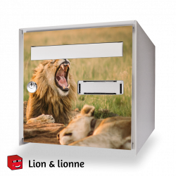 Sticker boîte aux lettres Lion & lionne 1